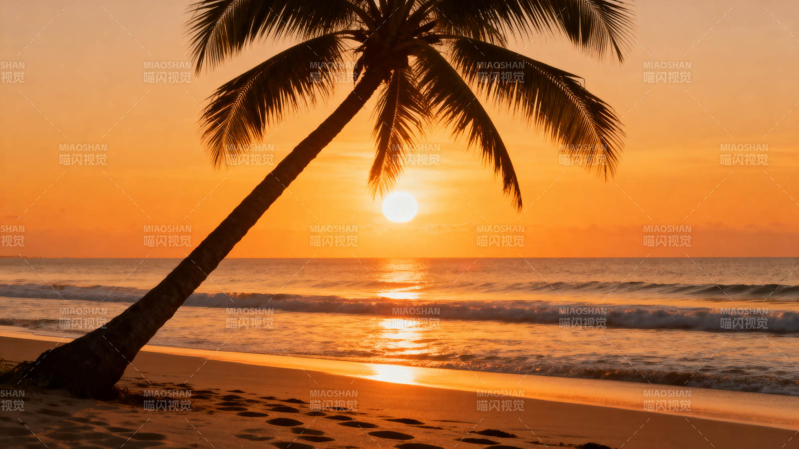 椰影夕阳海滩图片