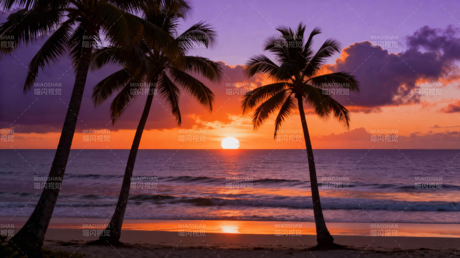 椰林晚照图片