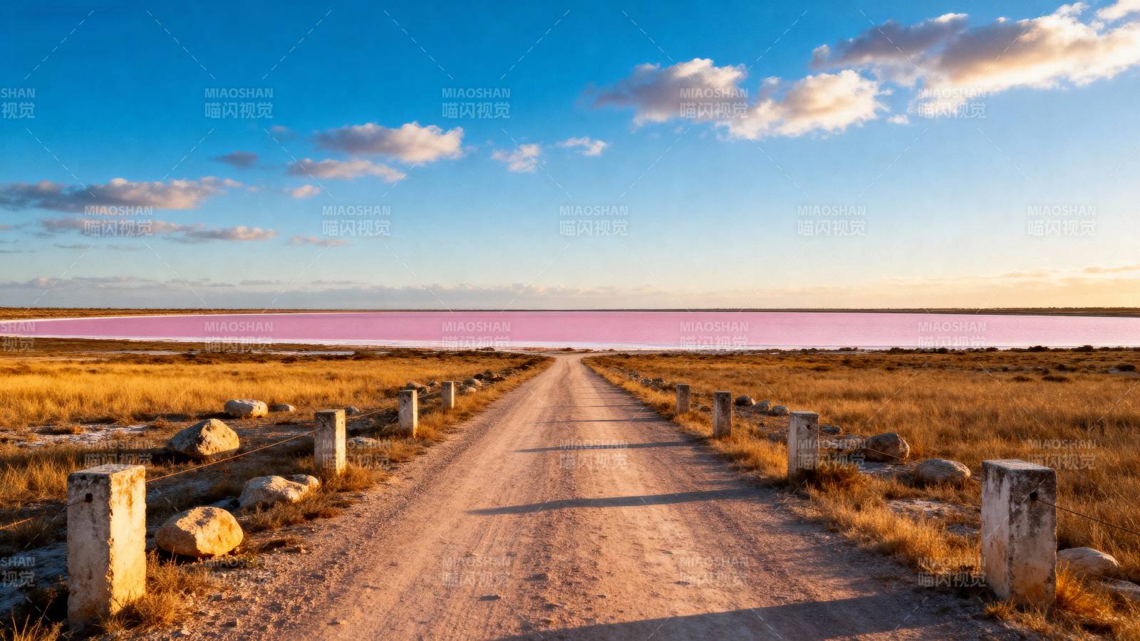 粉湖之路图片