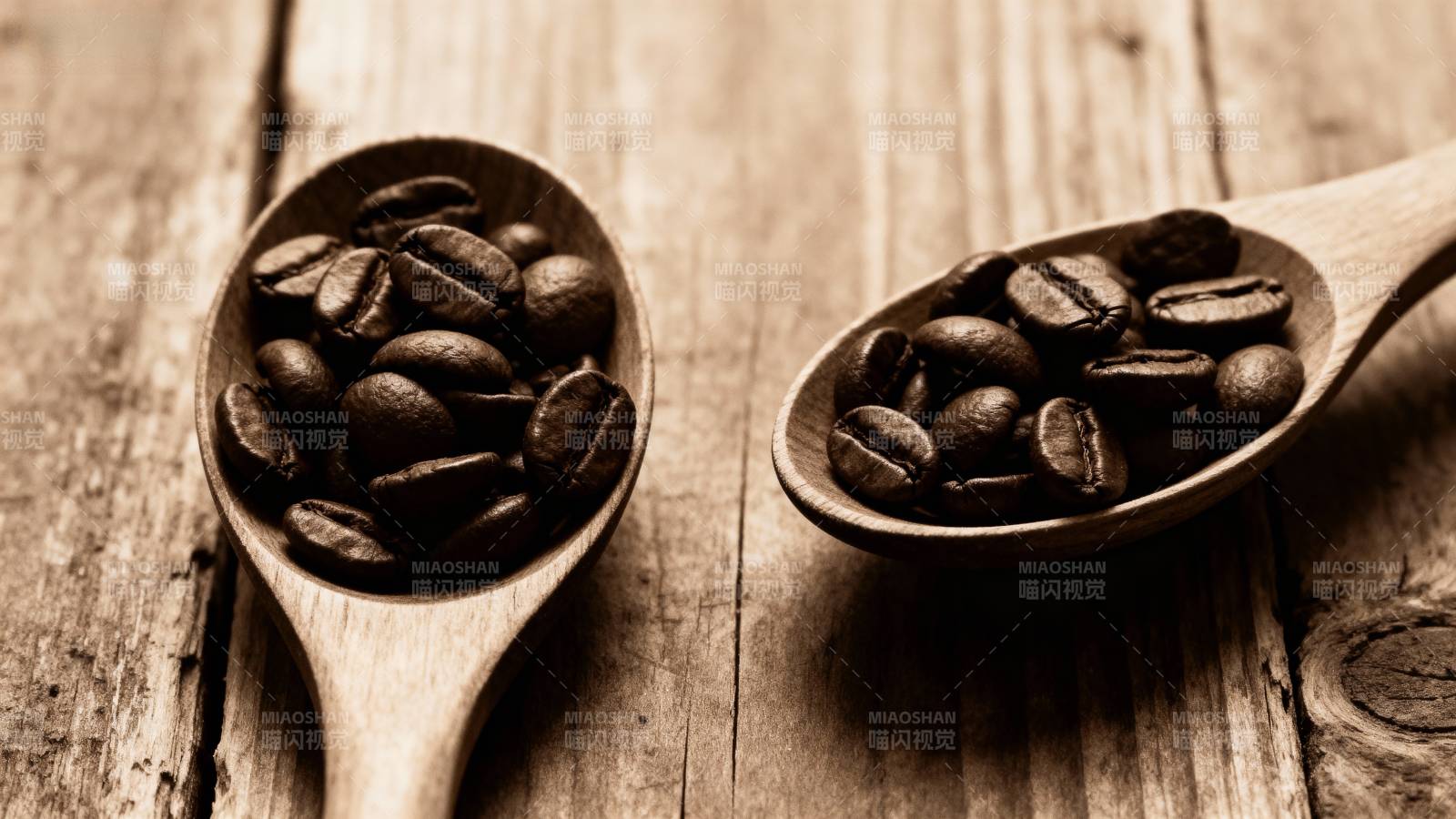 咖啡豆与木勺图片