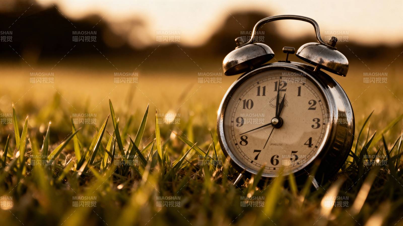 草地上闹钟静立图片