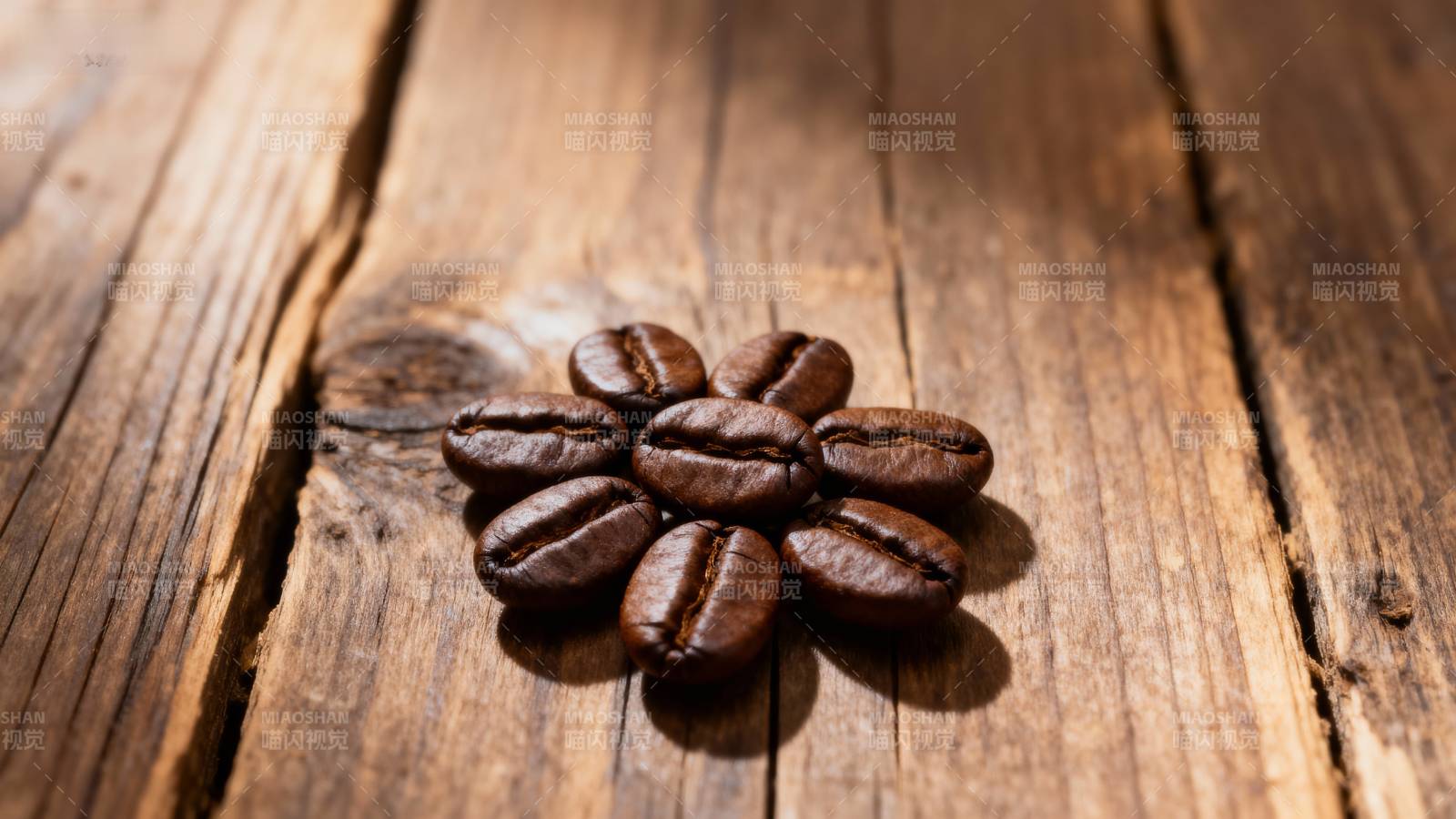 咖啡豆花形排列图片