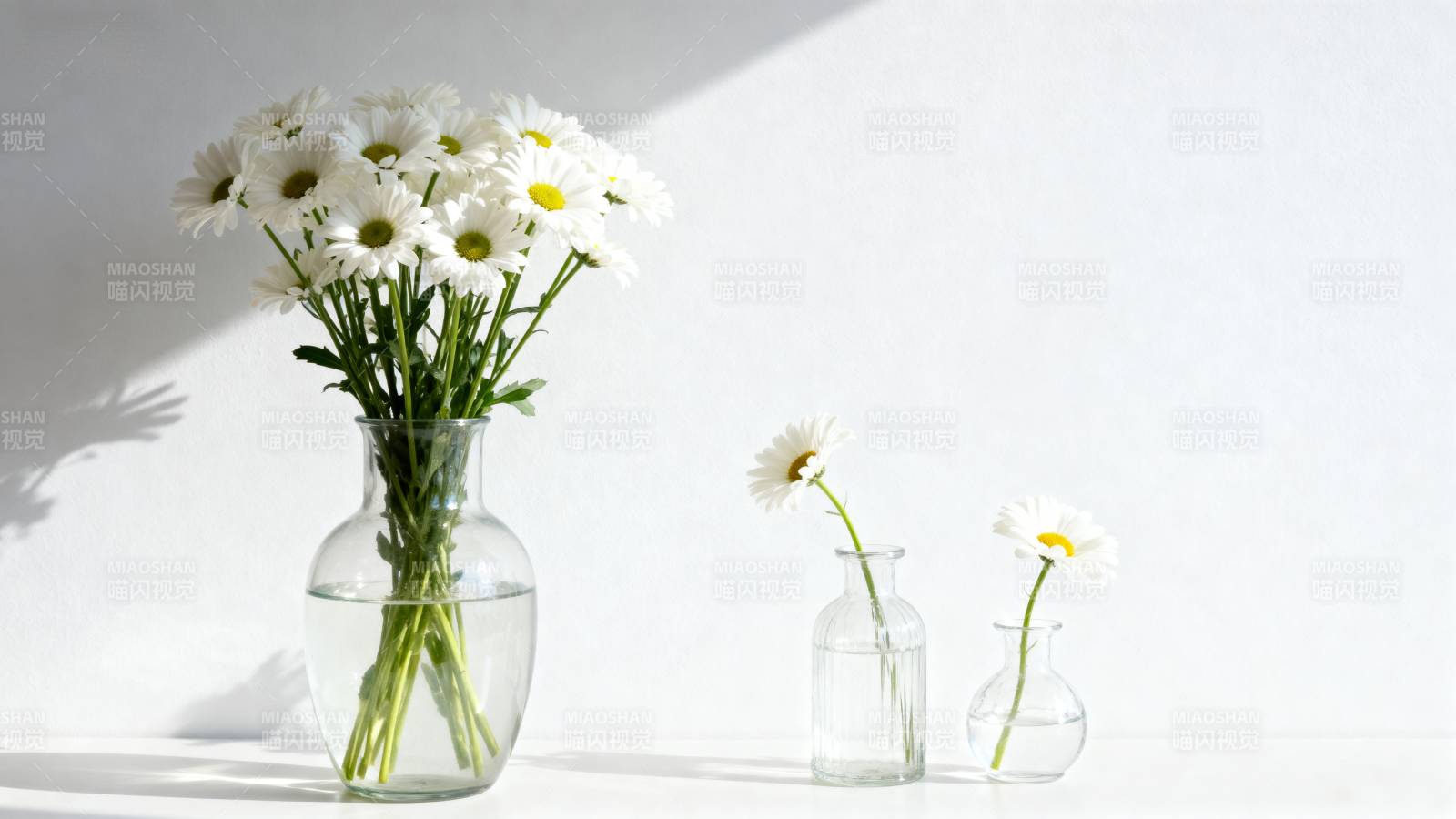白色雏菊与透明花瓶静物图片