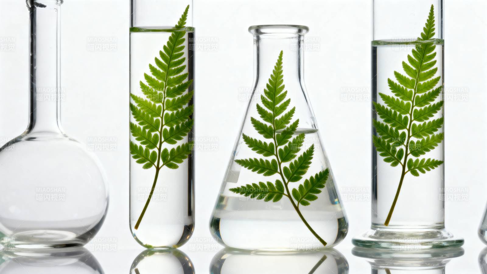 植物实验瓶中绿叶图片