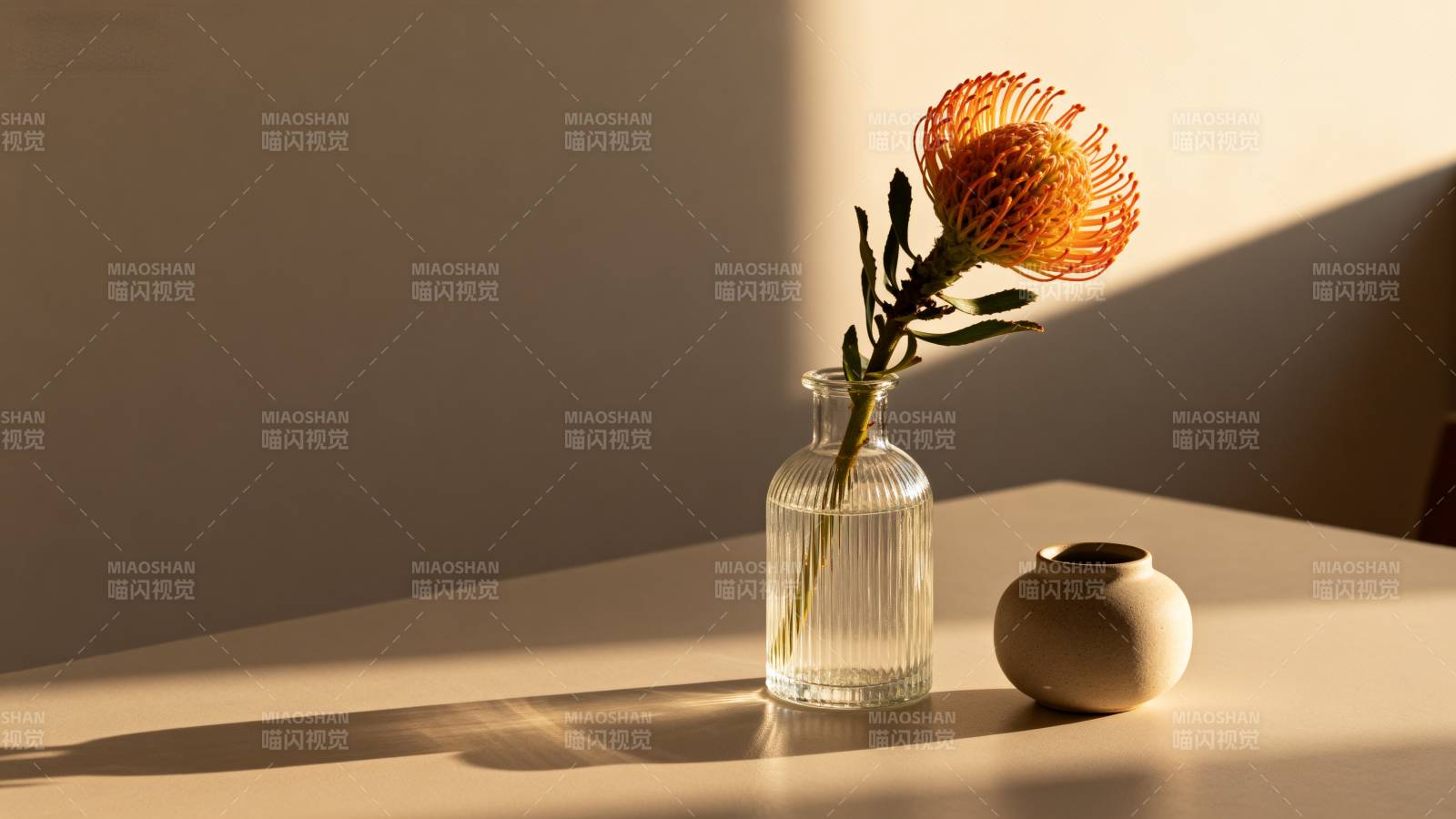 光影中的花瓶静物图片