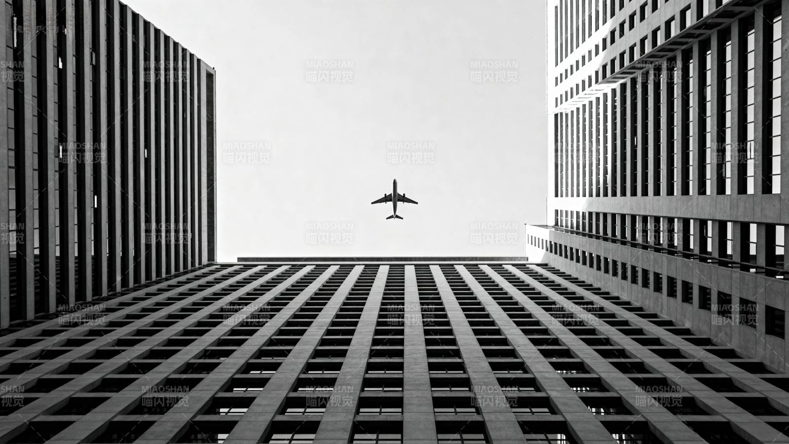 城市之巅的飞行图片