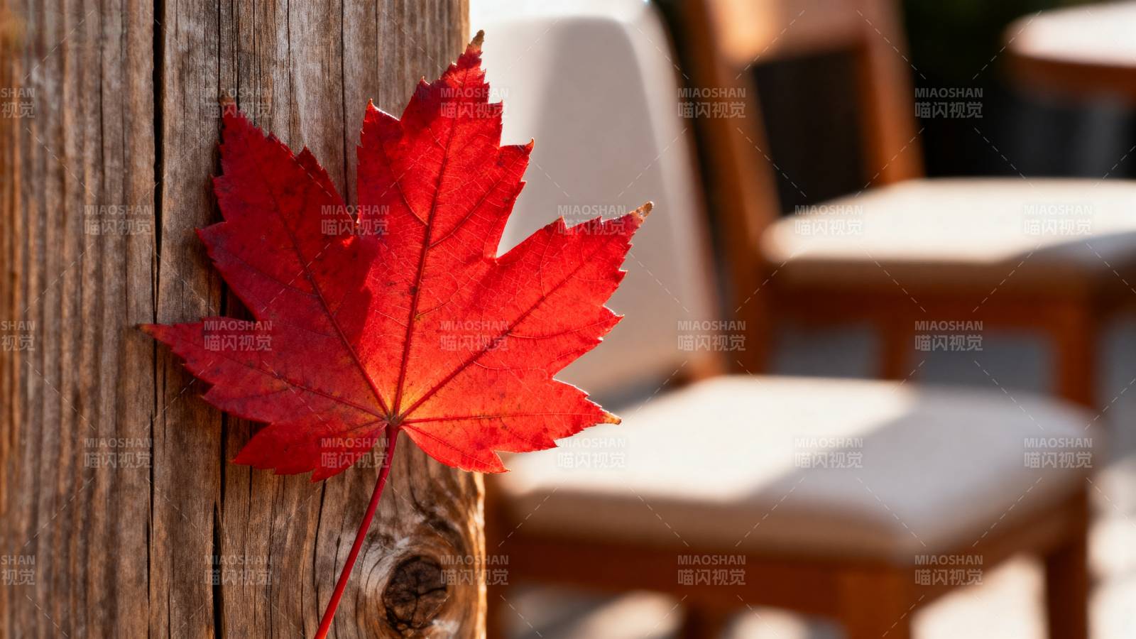 秋叶静倚木栏图片