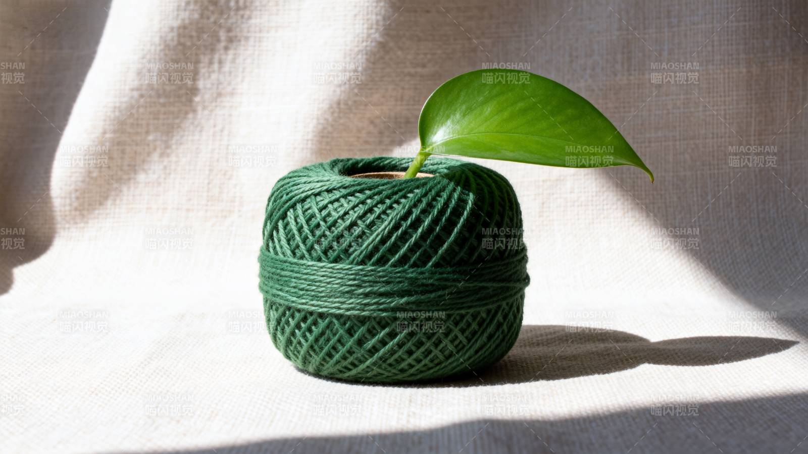 绿线缠绕生机叶图片