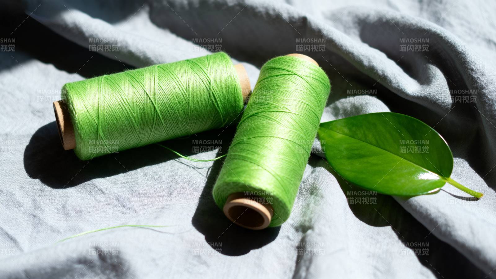 绿线与叶静物图片