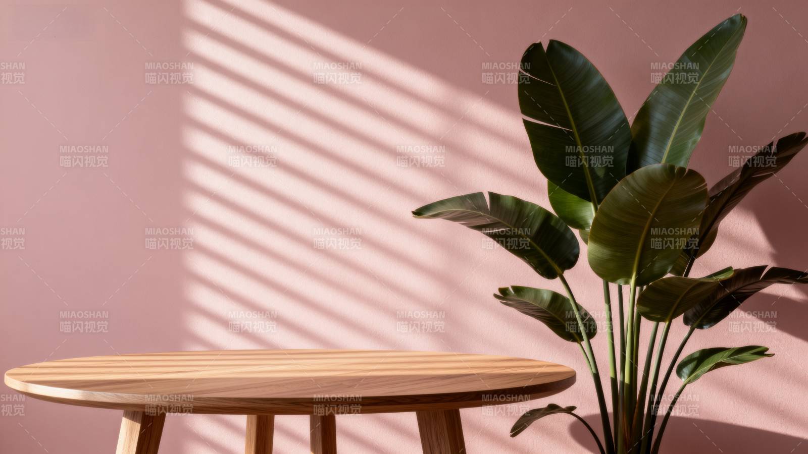 光影绿植静谧角落图片