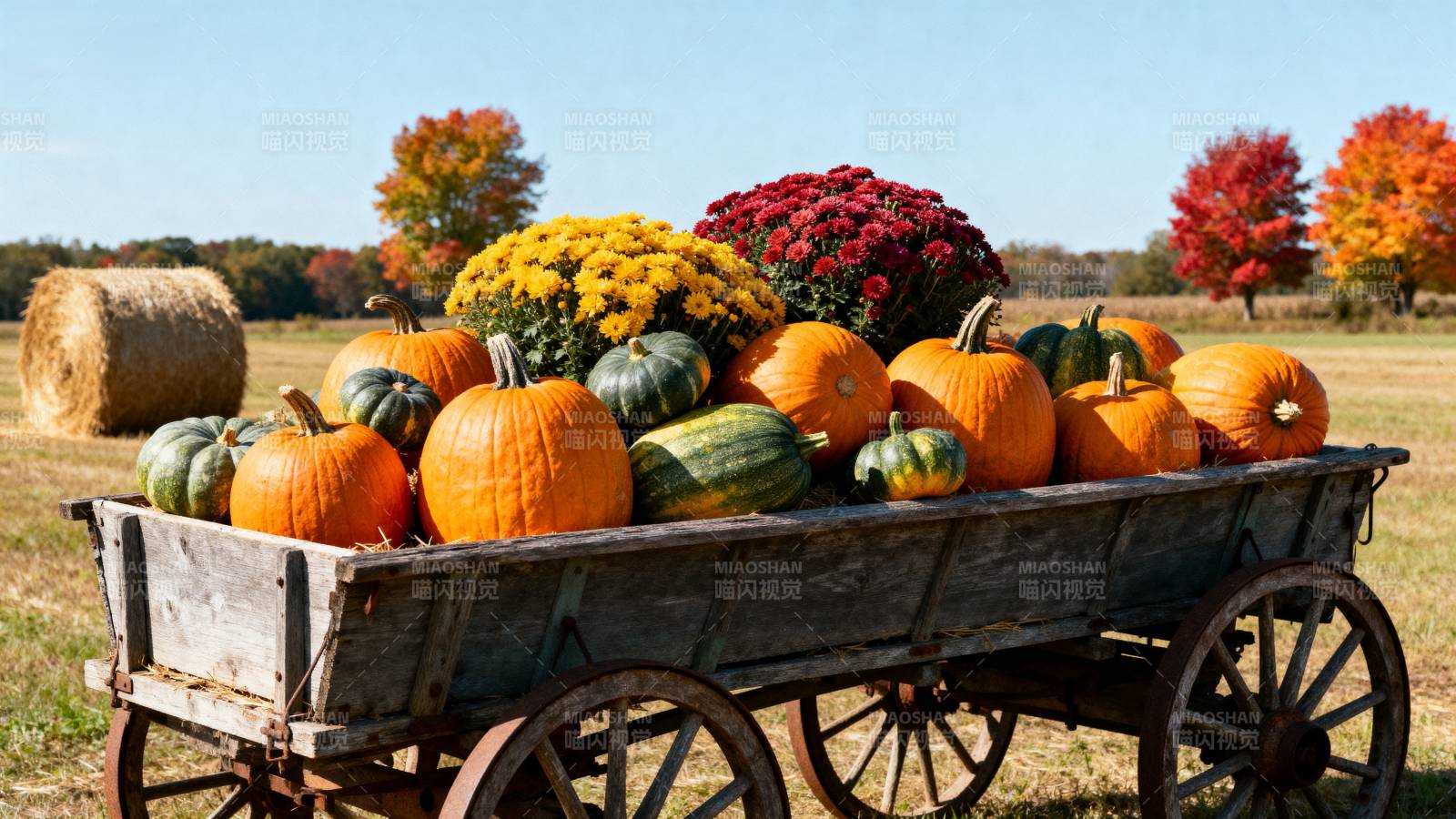 秋日丰收南瓜车图片