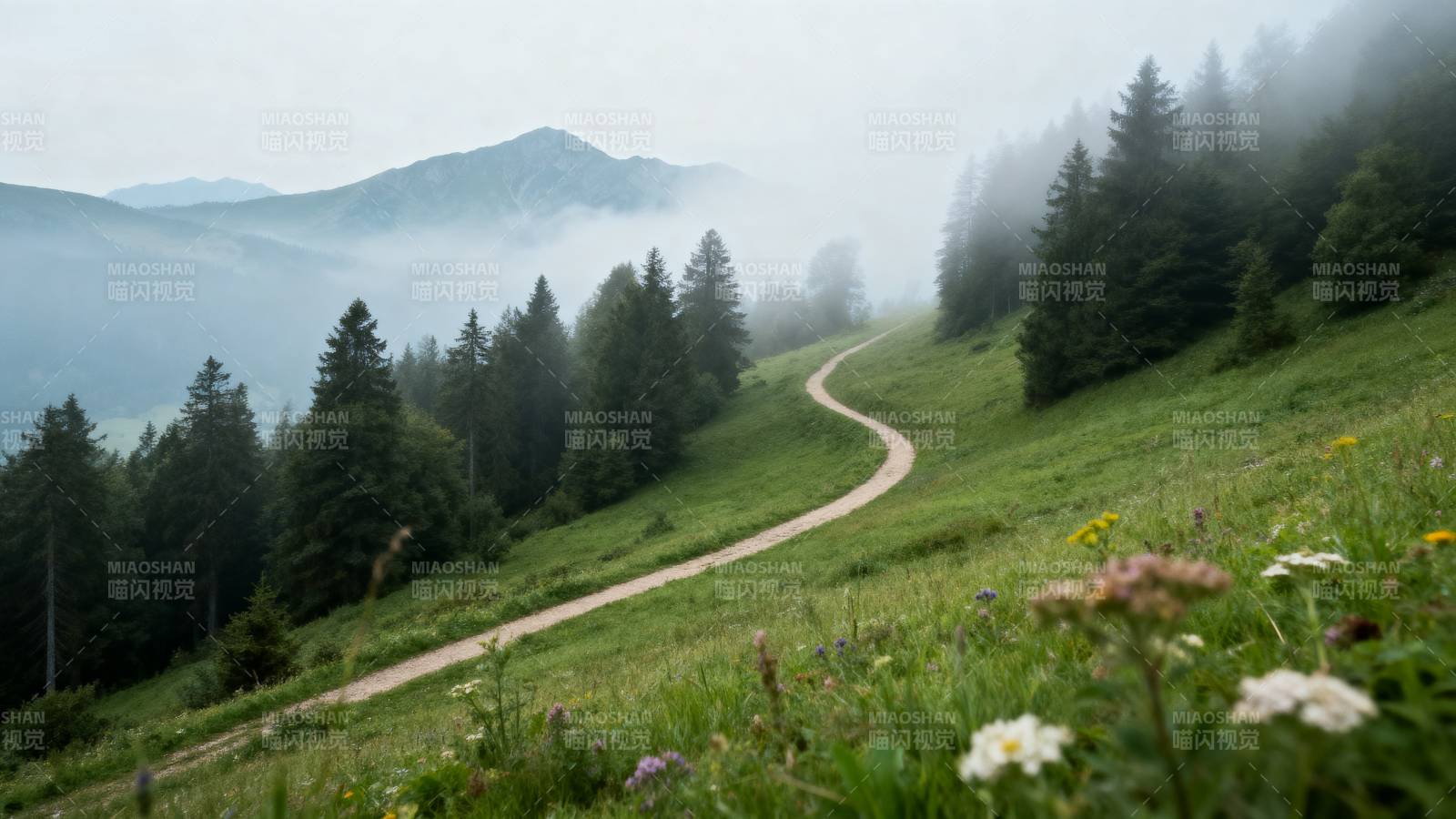 雾中蜿蜒小径图片