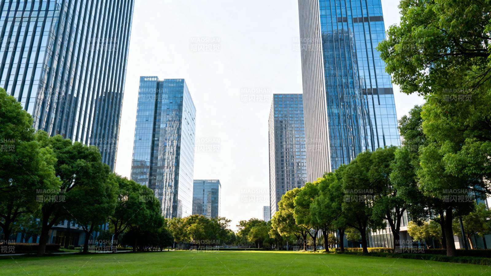 都市绿洲 高楼林立图片