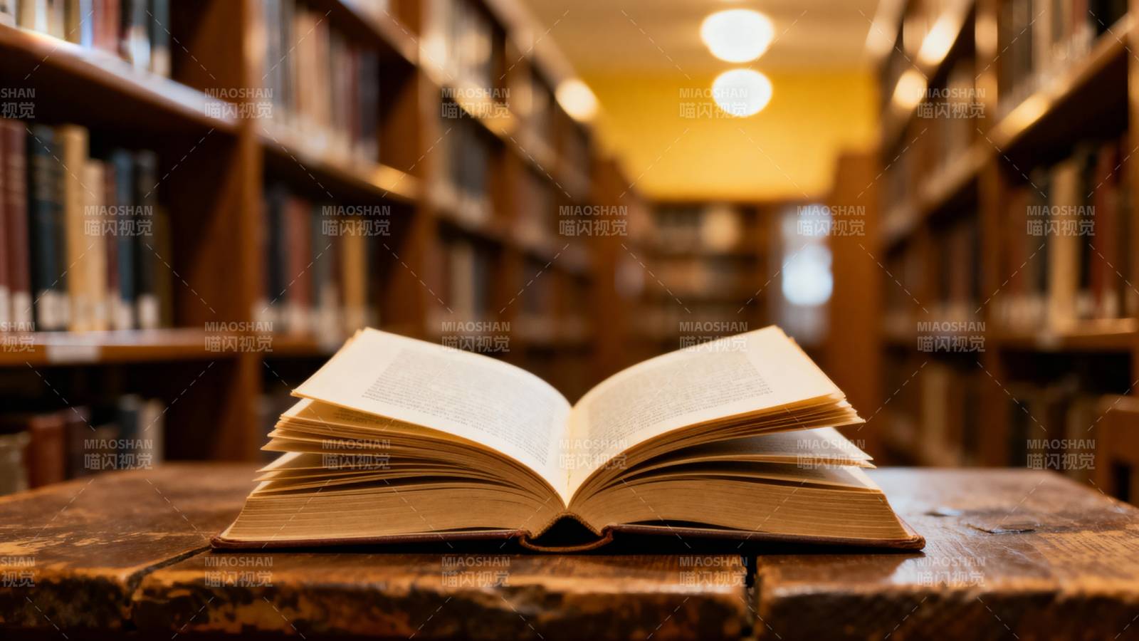 书页间的静谧时光图片