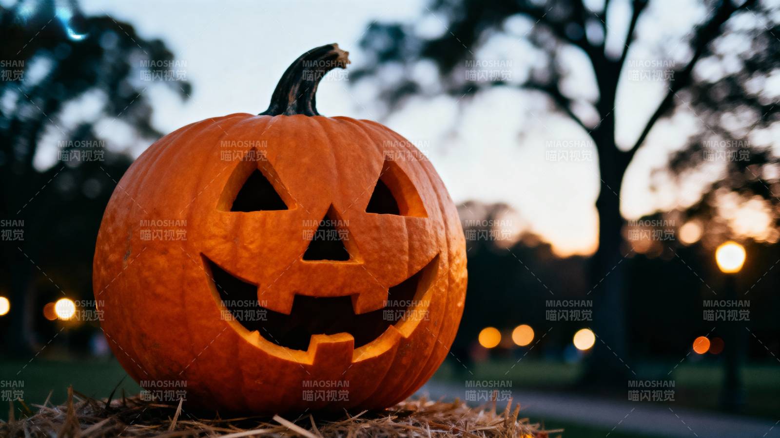 南瓜灯夜景图片