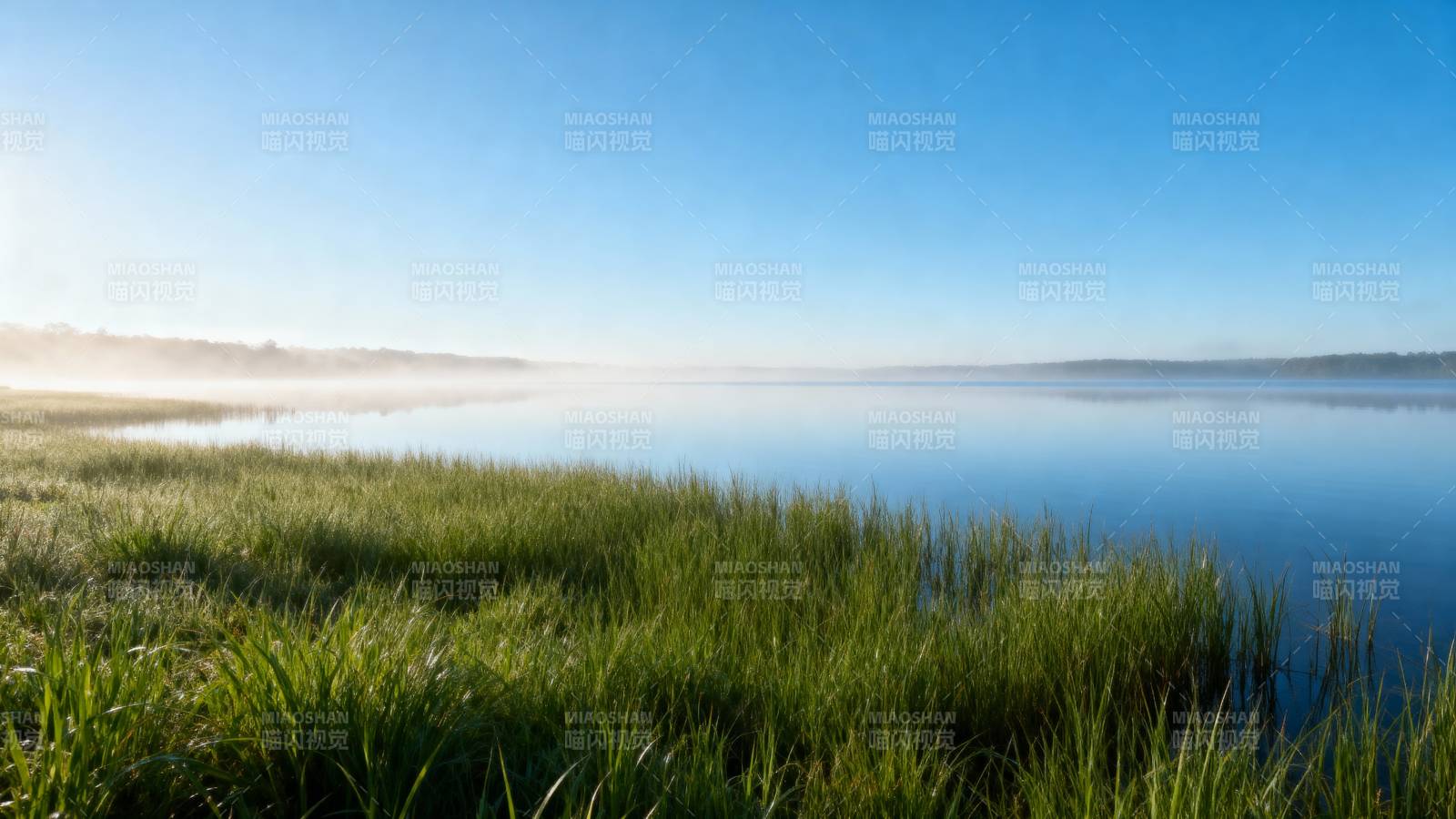 晨雾湖畔绿草茵茵图片
