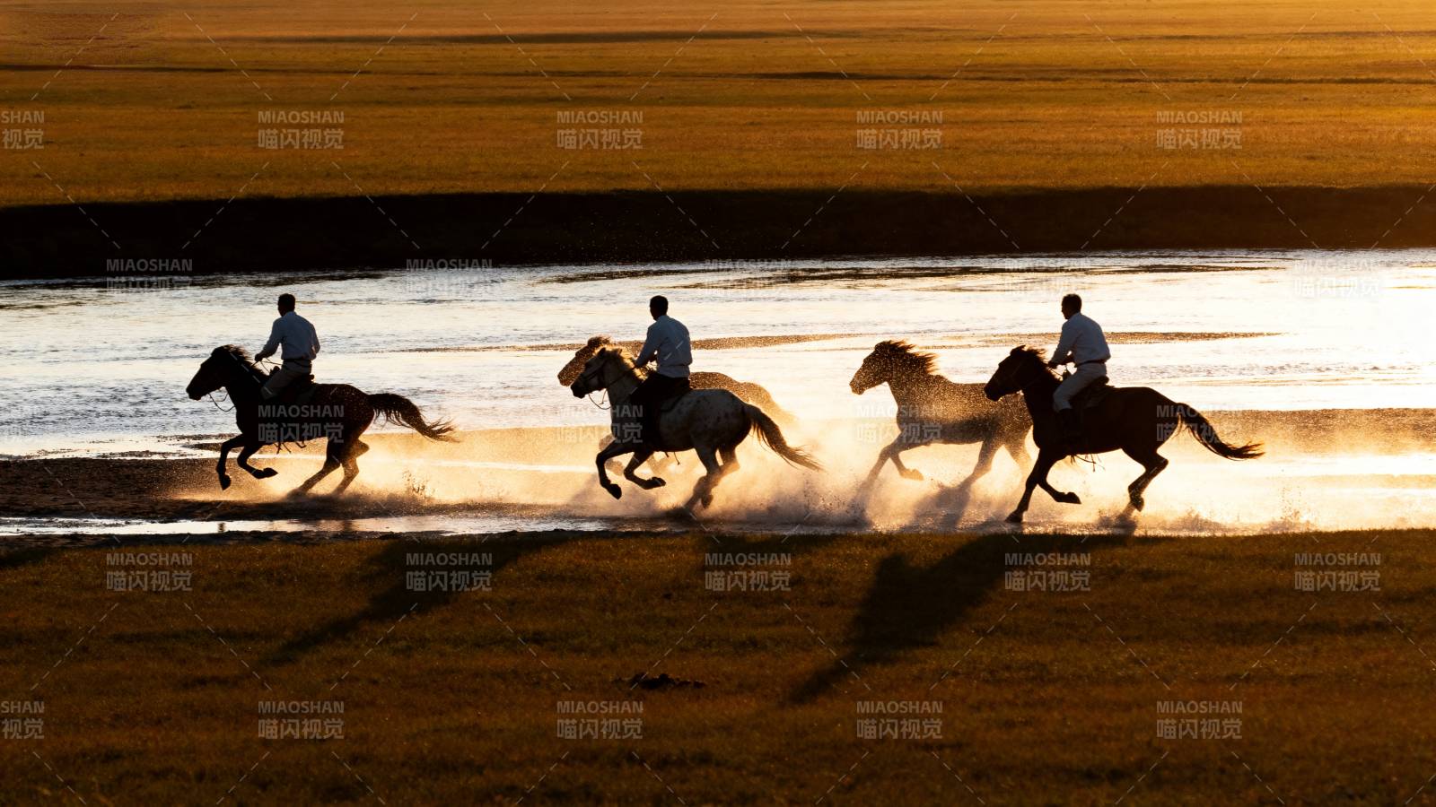 夕阳下策马奔腾图片