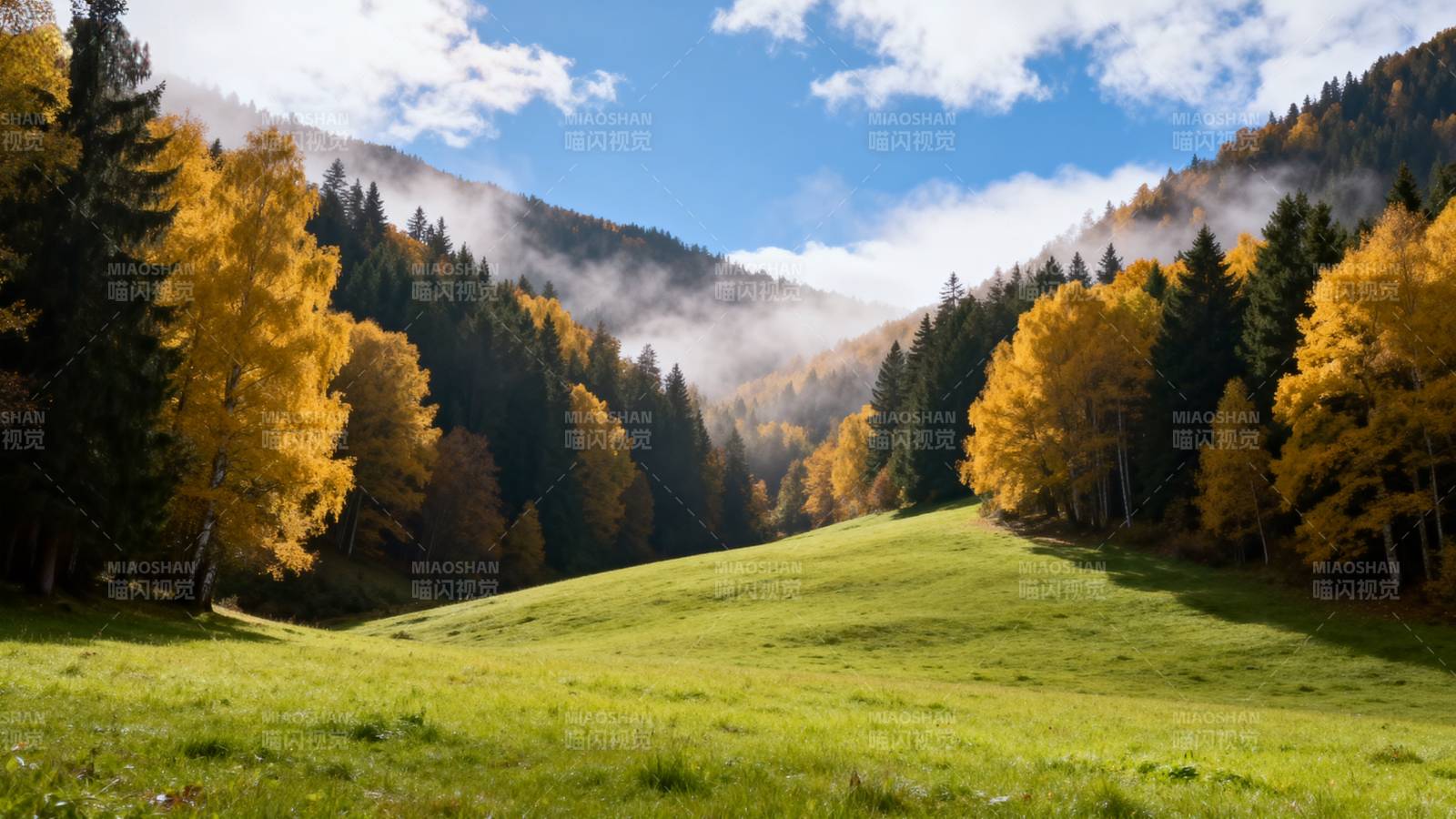 秋山雾绕 金林绿野图片
