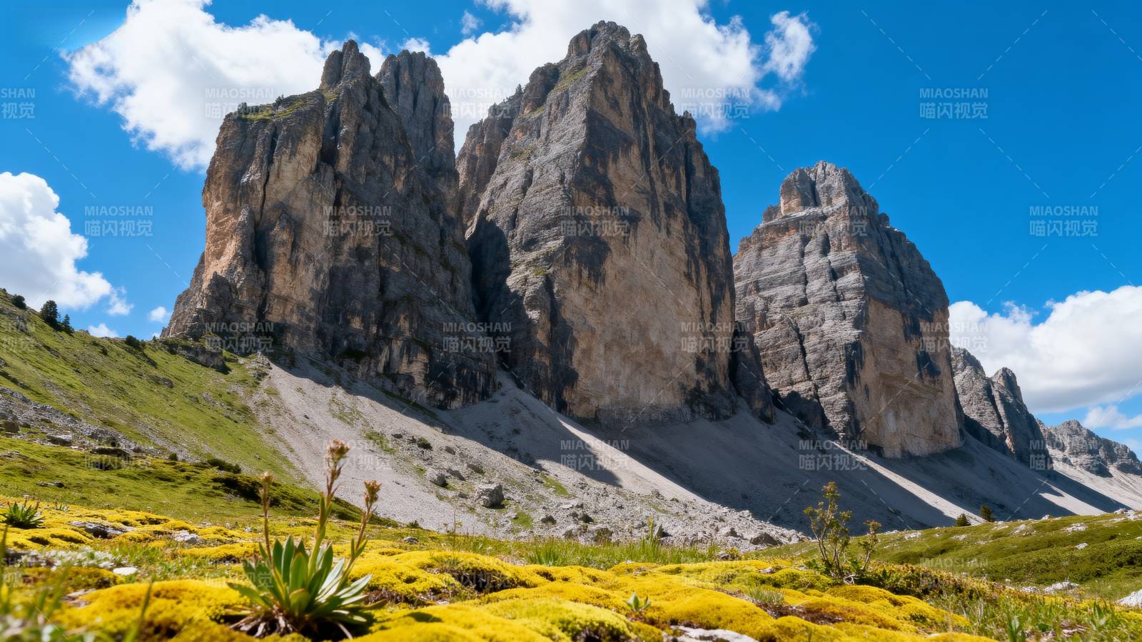 壮丽山峰与花海图片