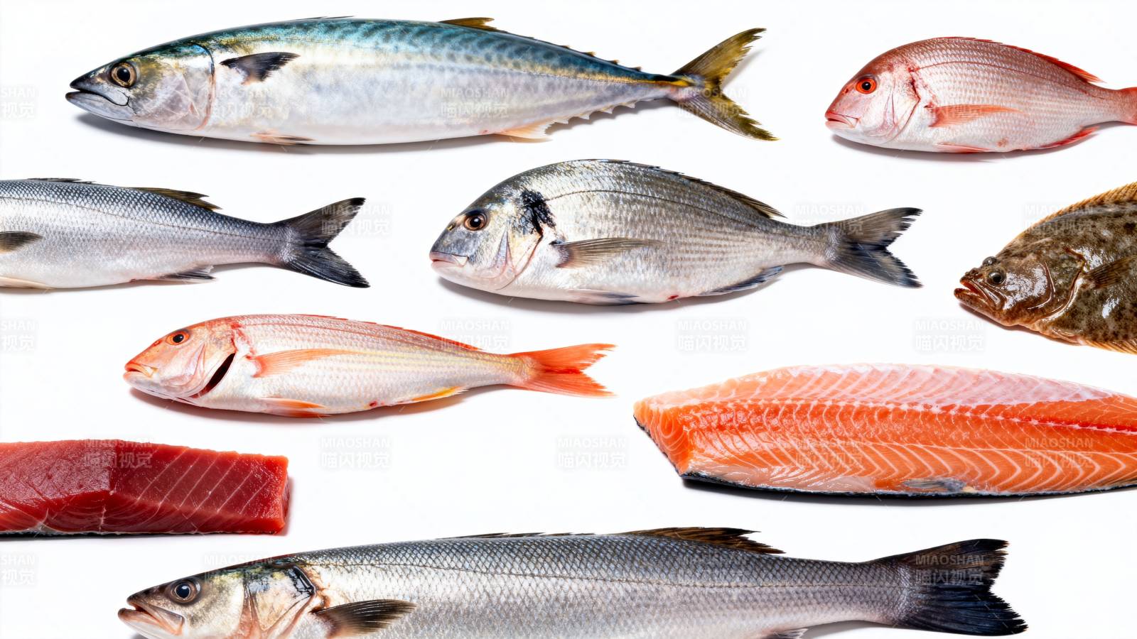 多种新鲜鱼类展示图片