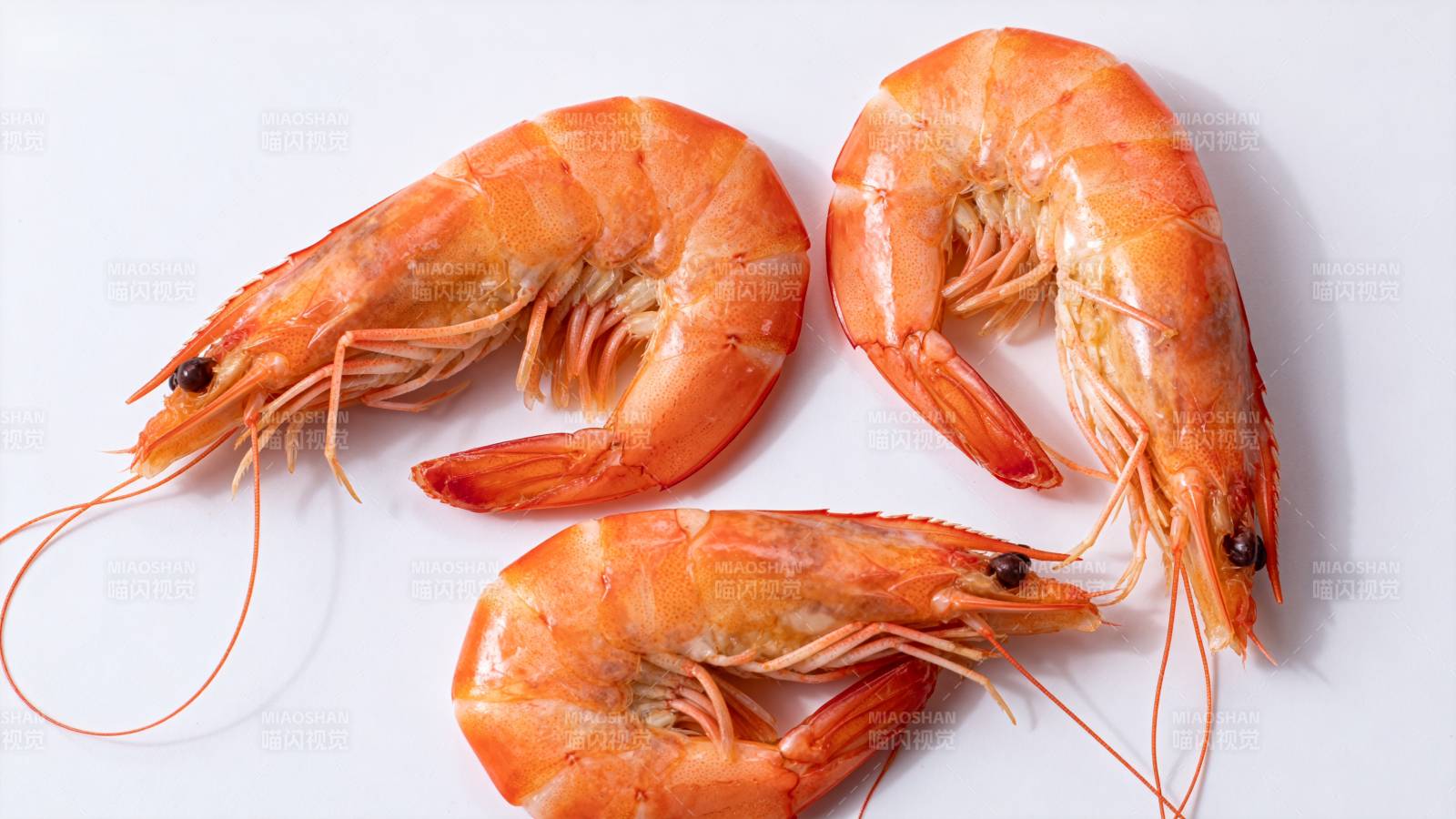 鲜美虾仁 诱人美味图片