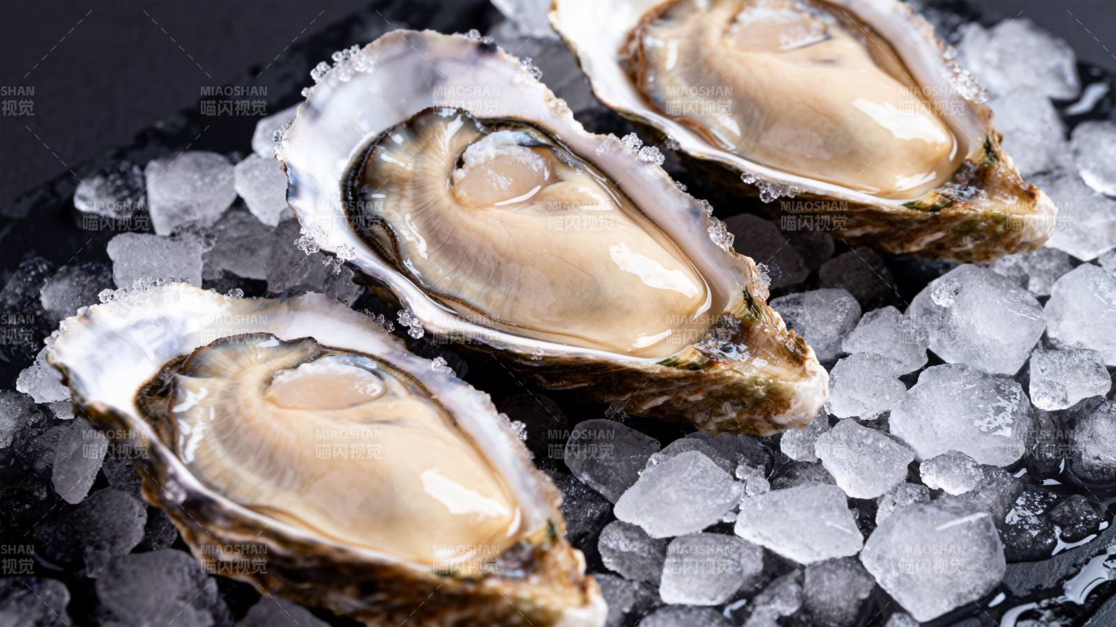 冰镇生蚝特写图片