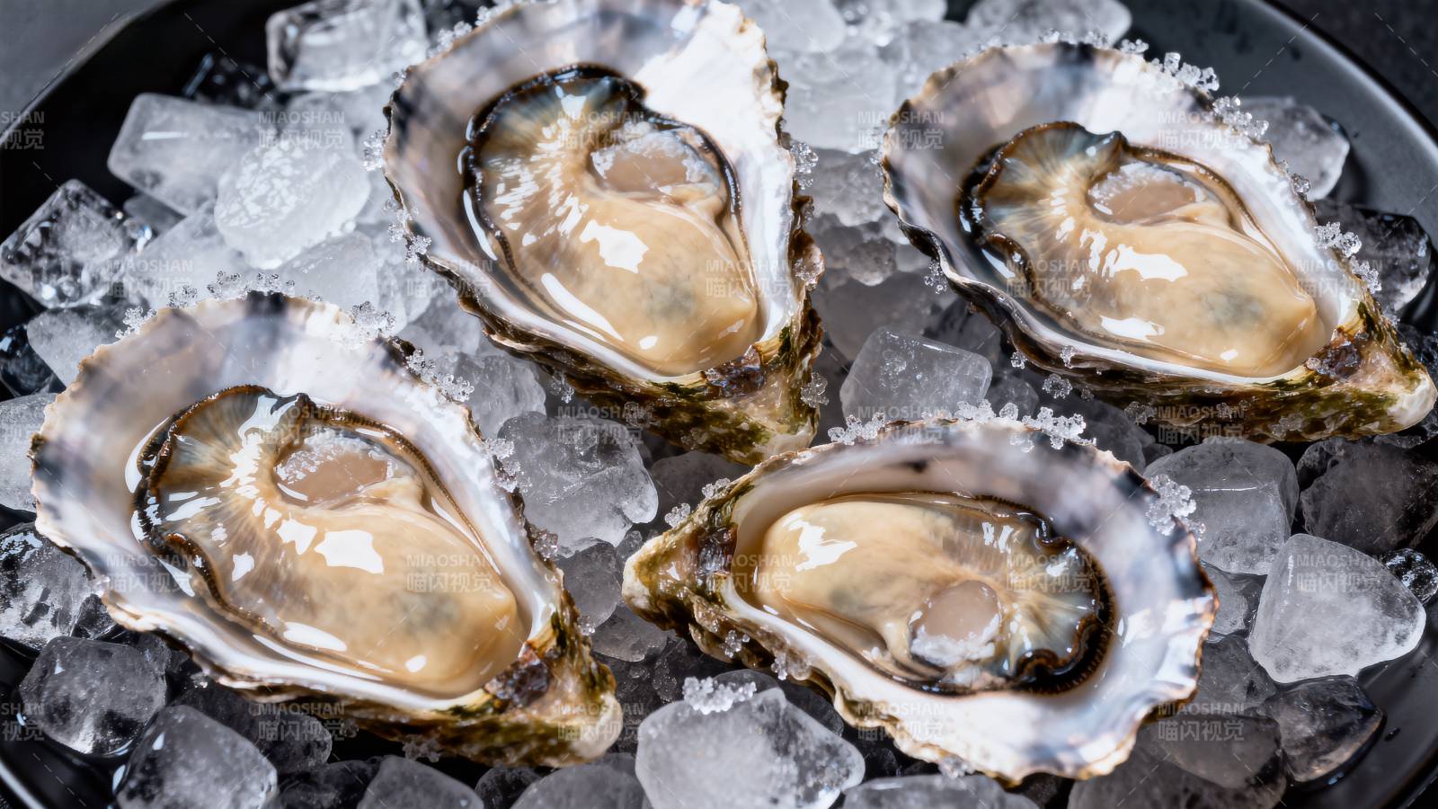 冰镇生蚝鲜美诱人图片