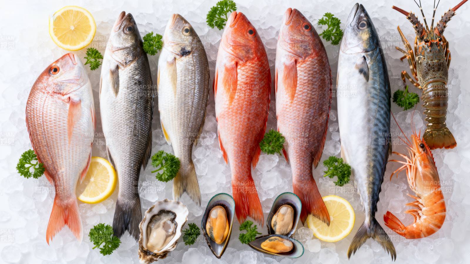 新鲜海鲜大集合图片