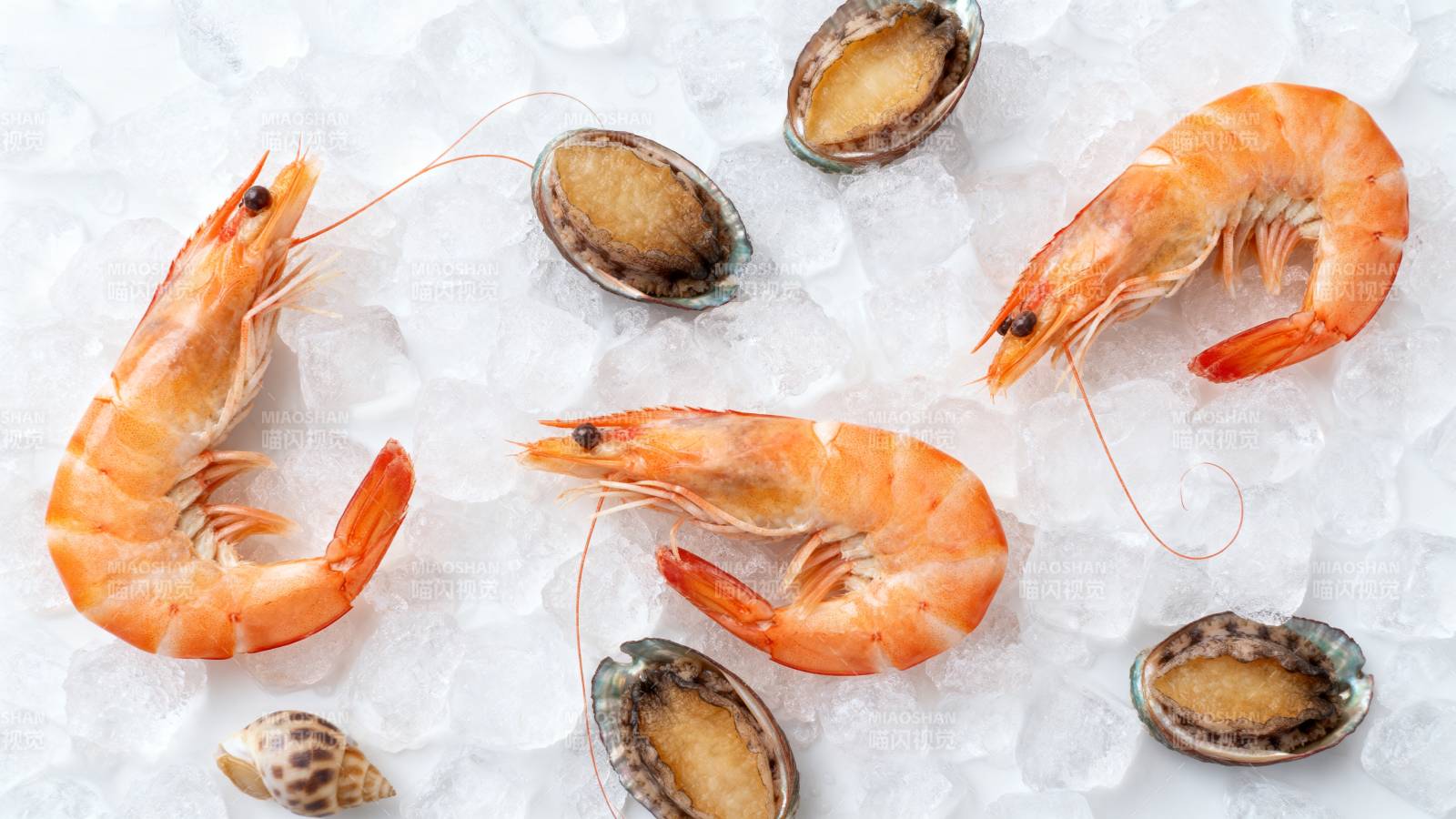 冰上鲜虾与贝壳图片