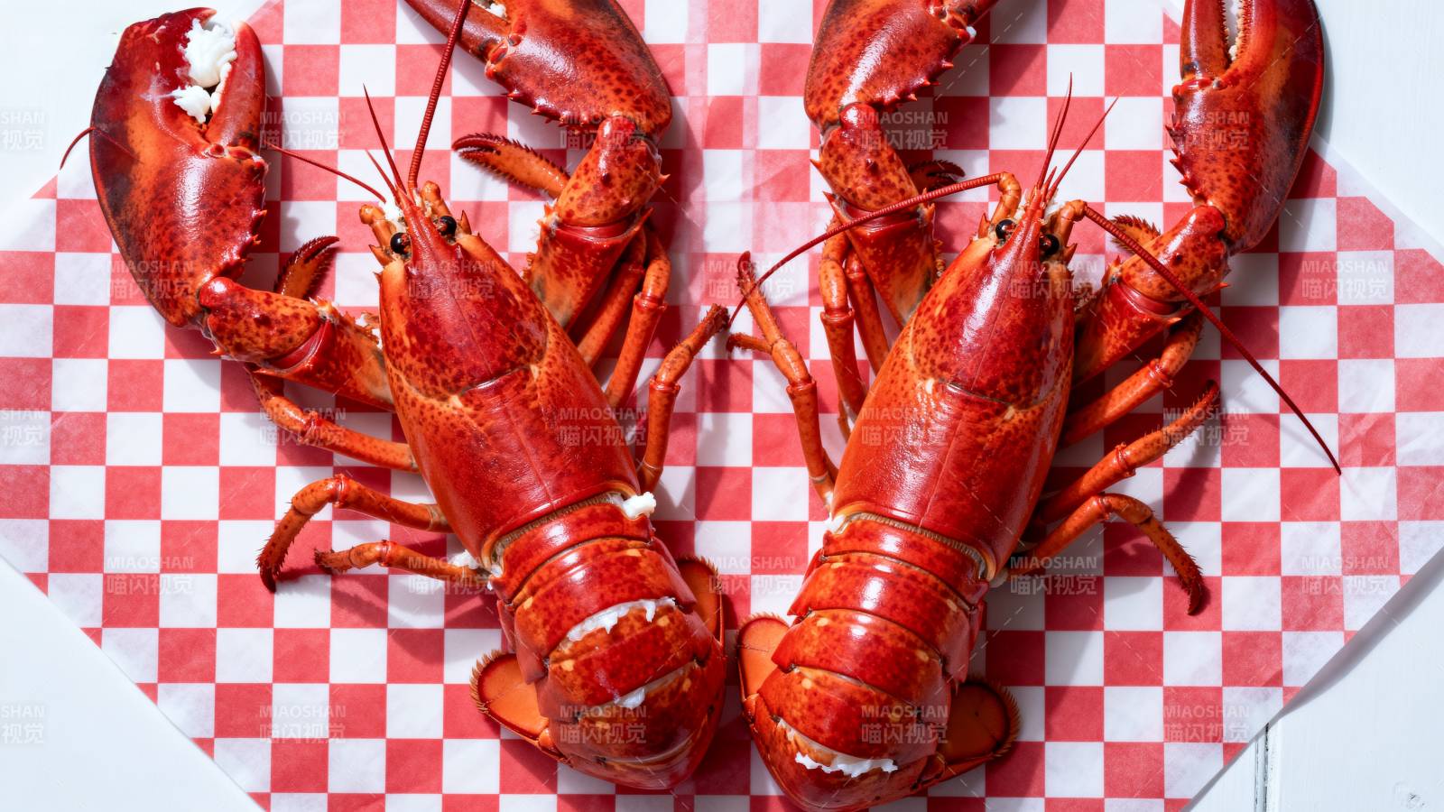 鲜红龙虾对对碰图片