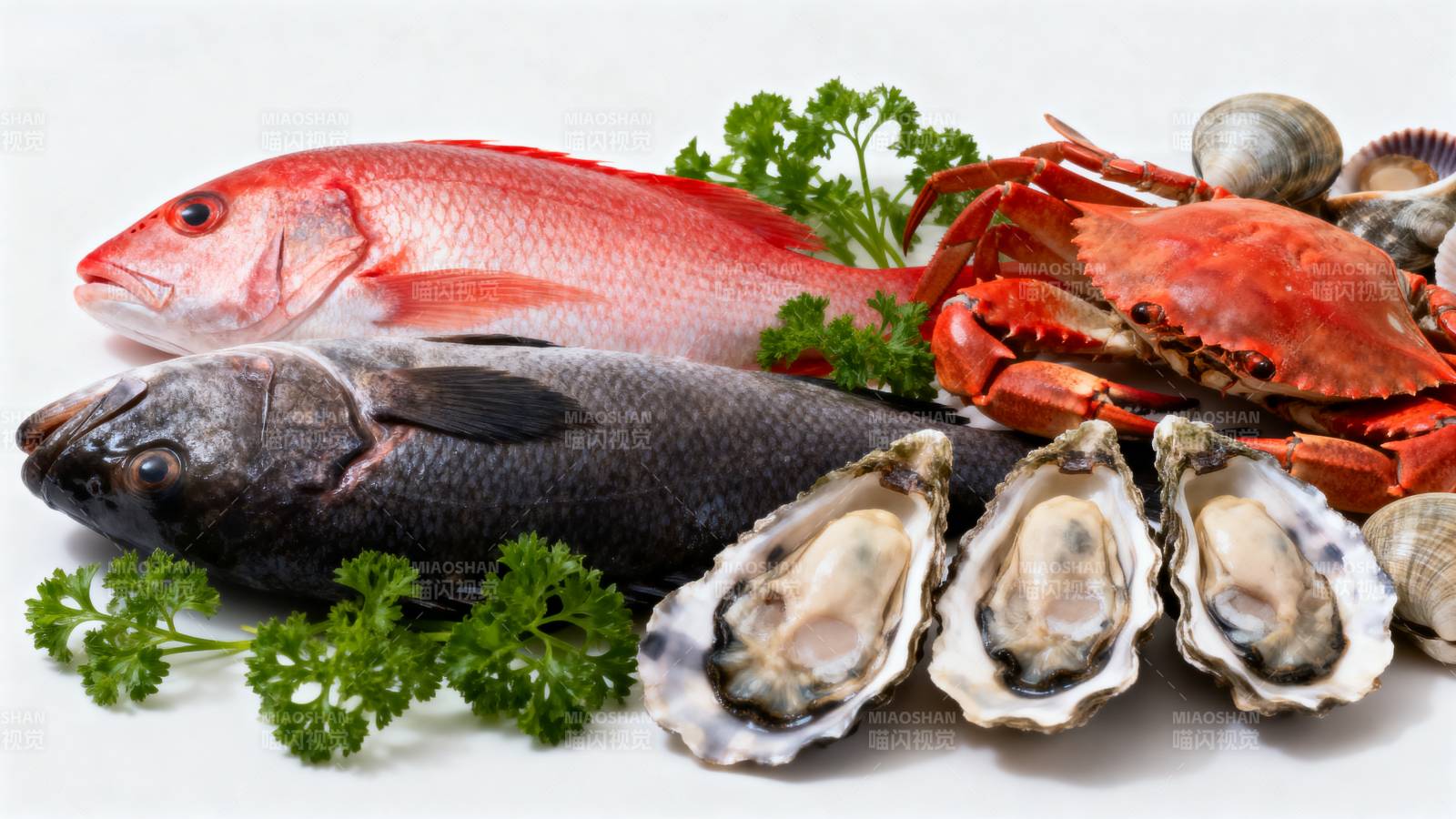 新鲜海鲜拼盘图片