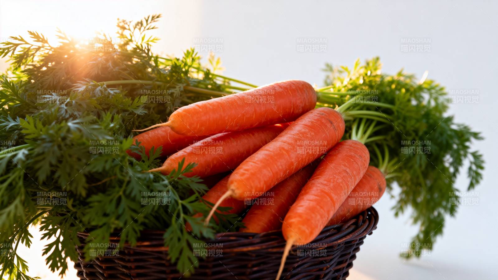 新鲜胡萝卜篮图片