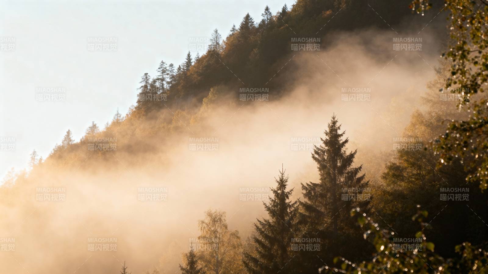 晨雾缭绕山林图片