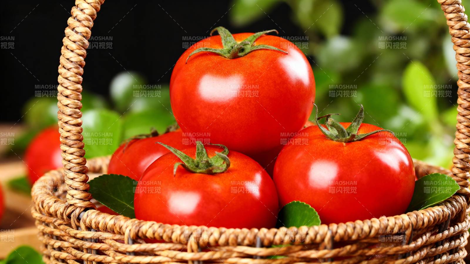 鲜红番茄篮中盛图片