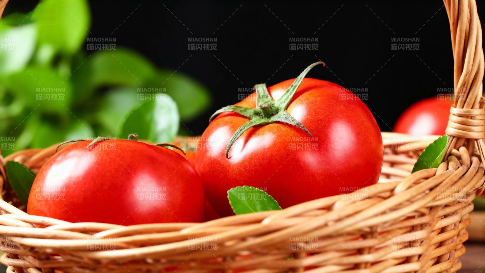 新鲜红番茄图片