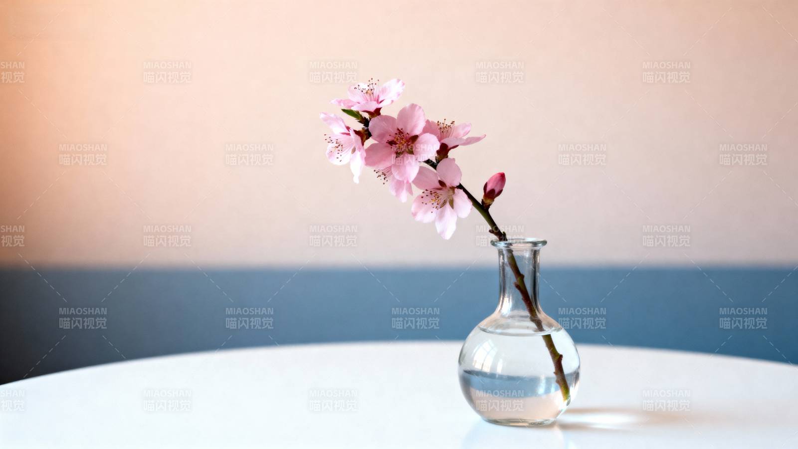 樱花静物图片