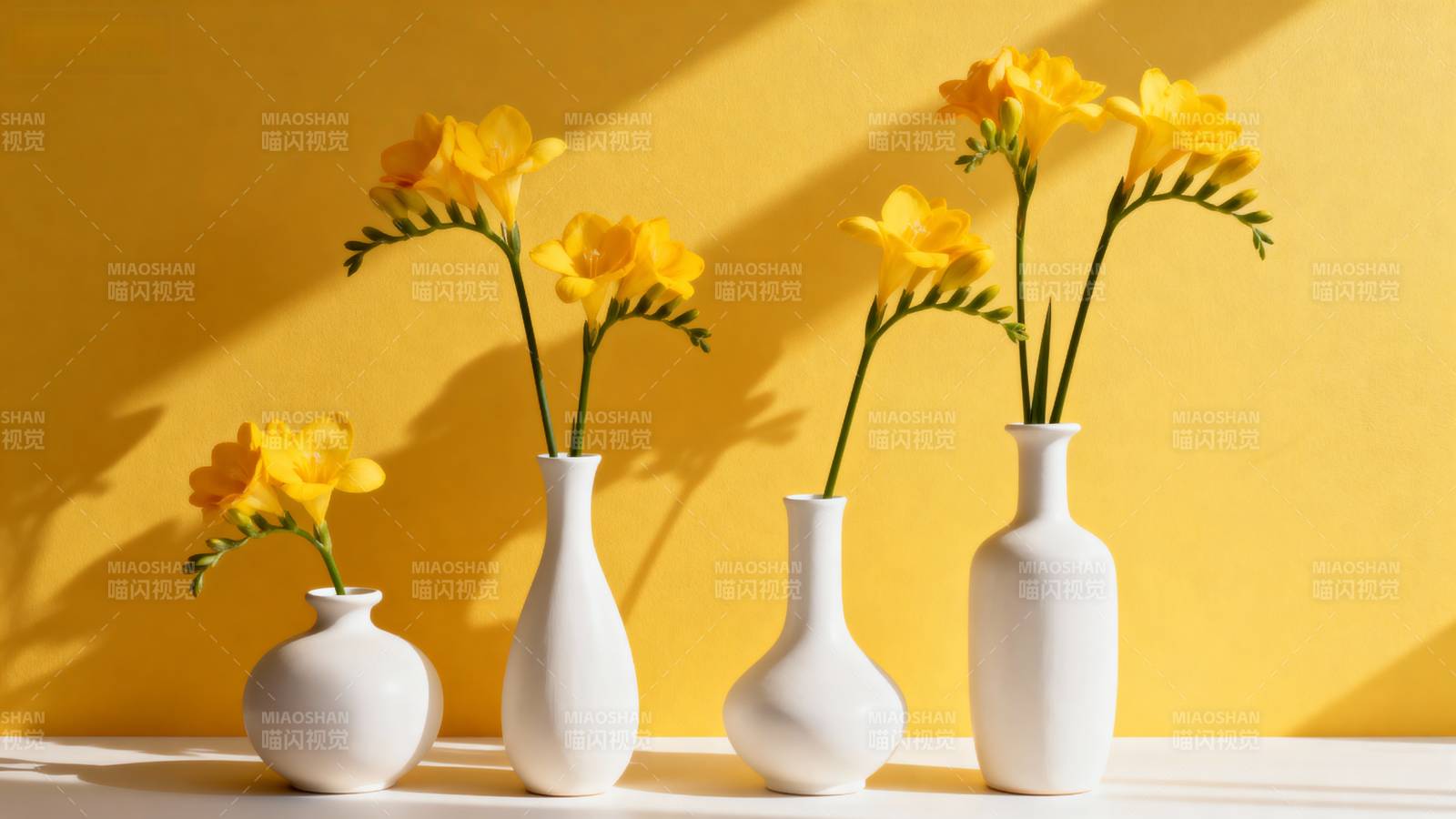 黄花白瓶映光影图片