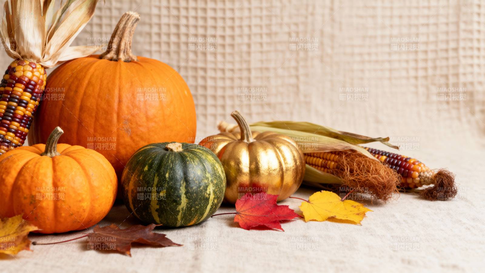 秋日丰收静物图片