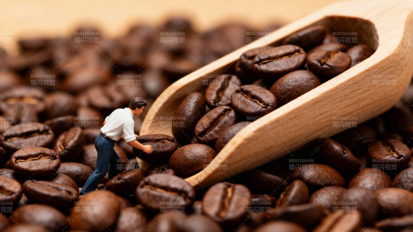 咖啡豆中的小人图片