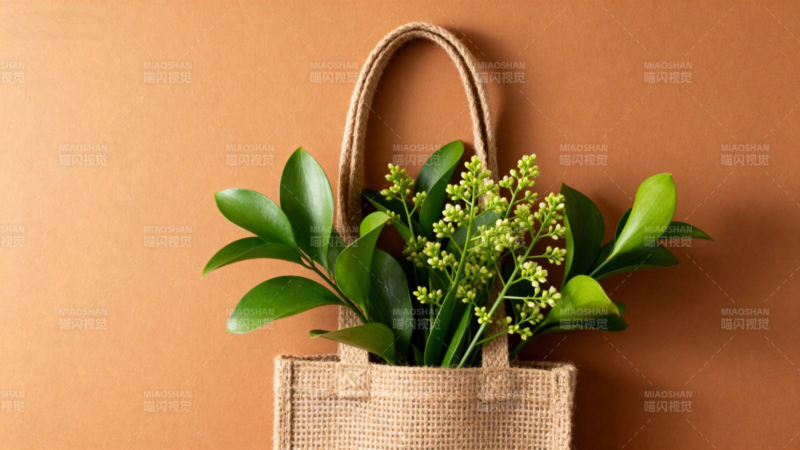 绿植手提袋图片