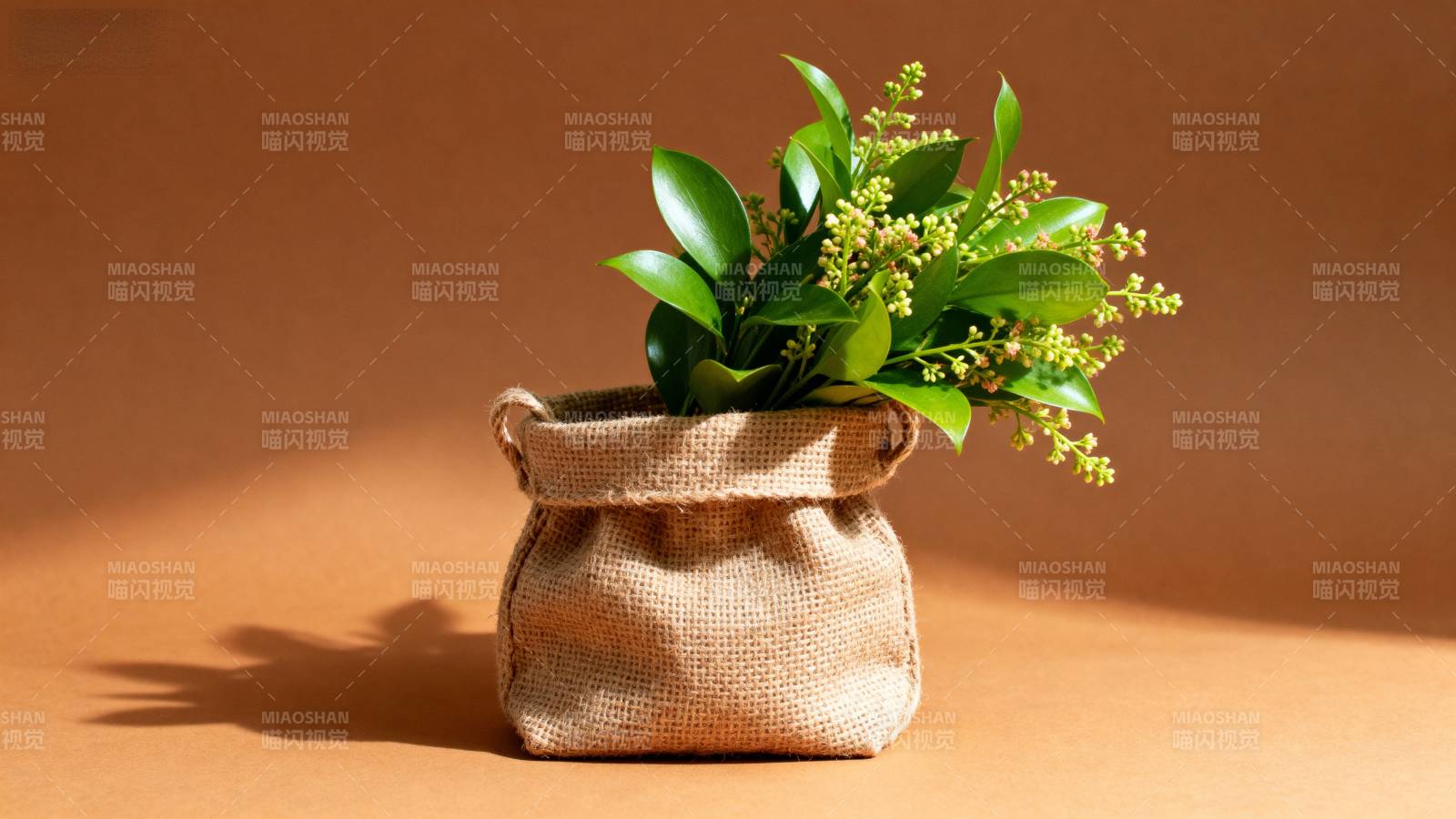 绿植小袋 自然之美图片