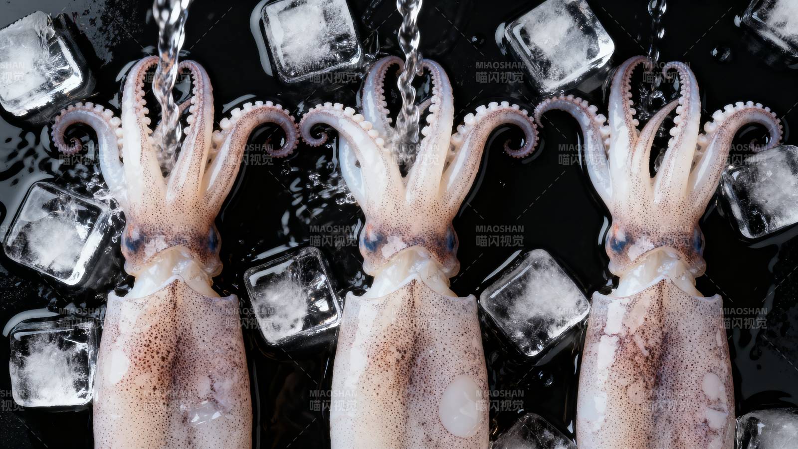 冰镇章鱼特写图片