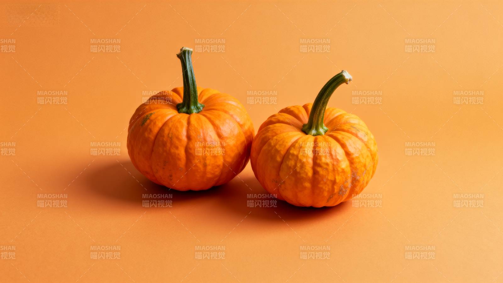 双橙南瓜静物图图片