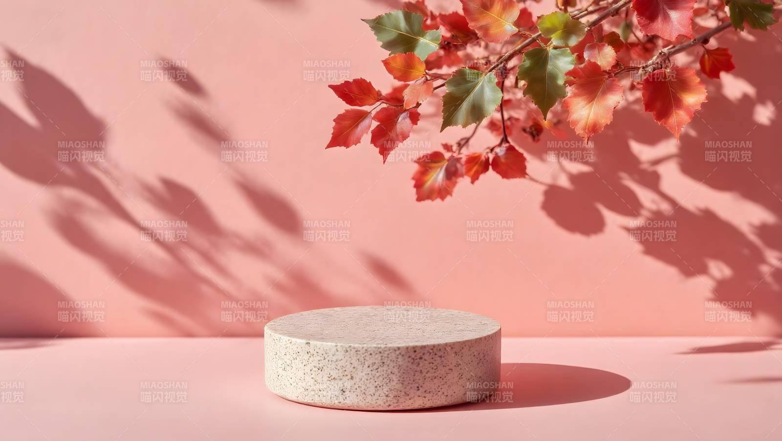 秋叶映影 静谧之境图片