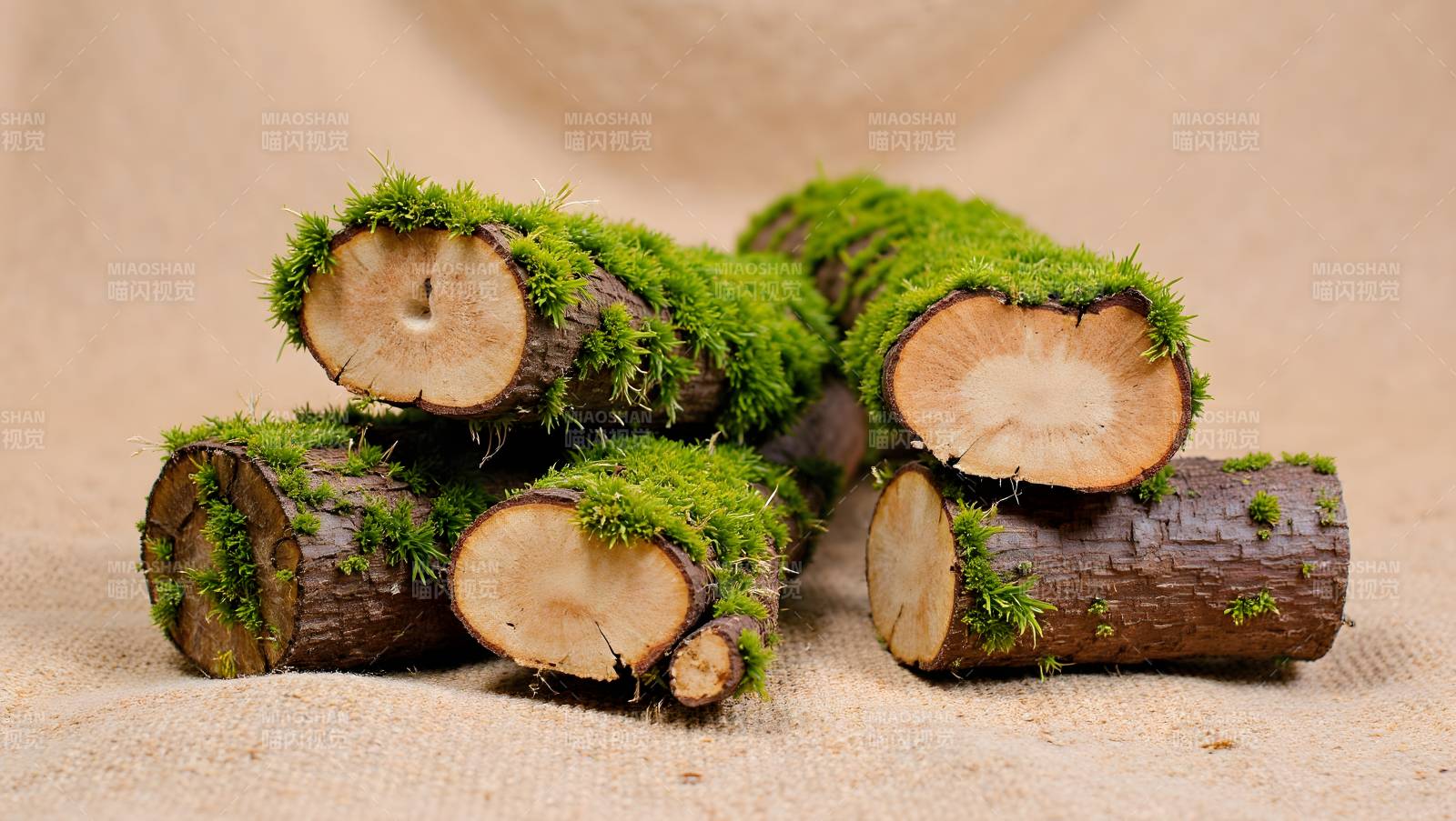 青苔覆盖的木桩图片