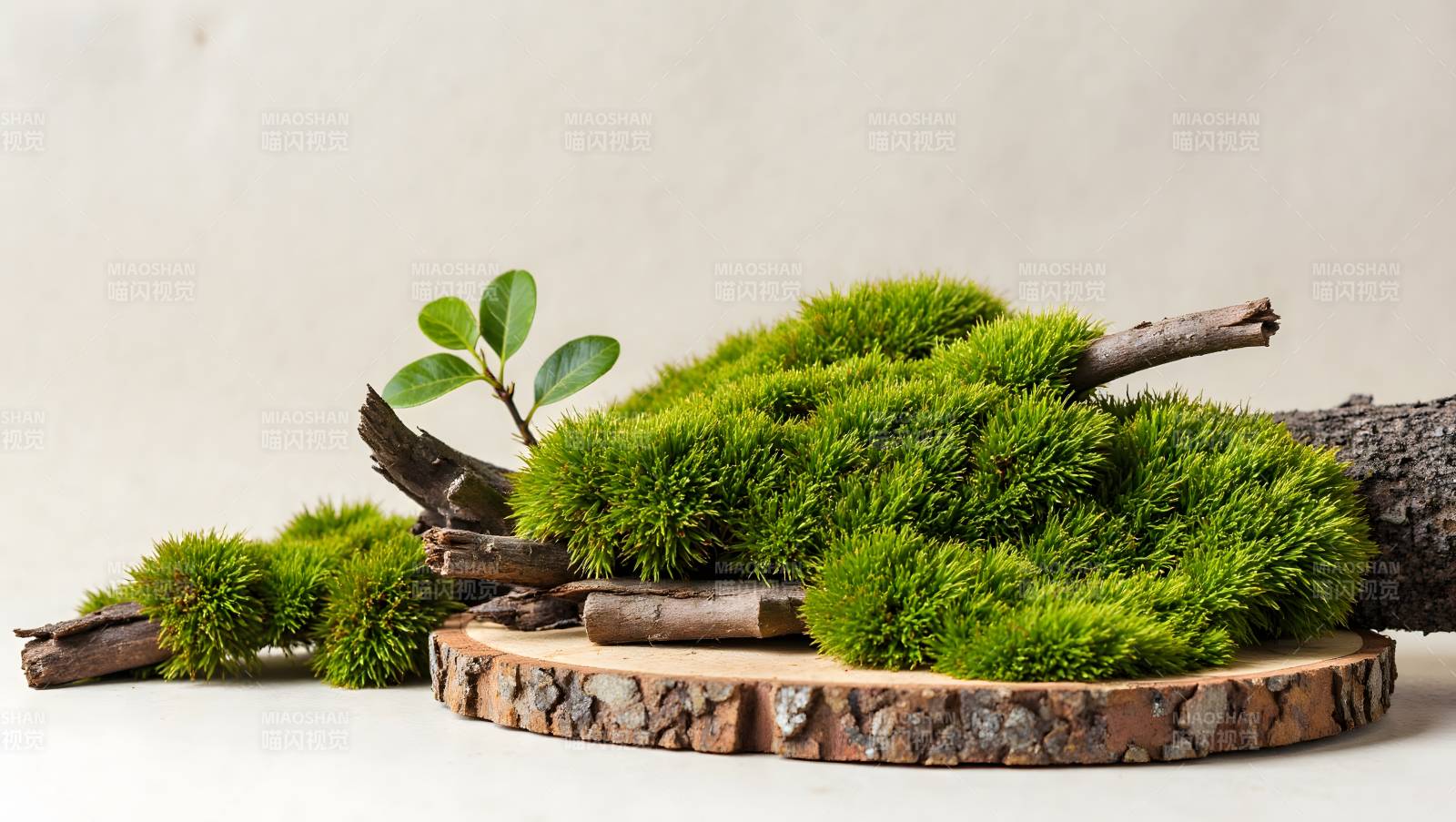 苔藓与木片静物摆拍图片