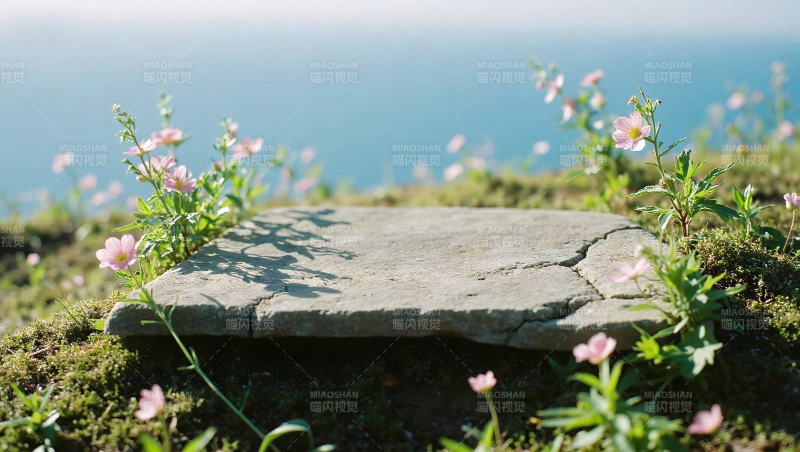 石板花丛海边静景图片