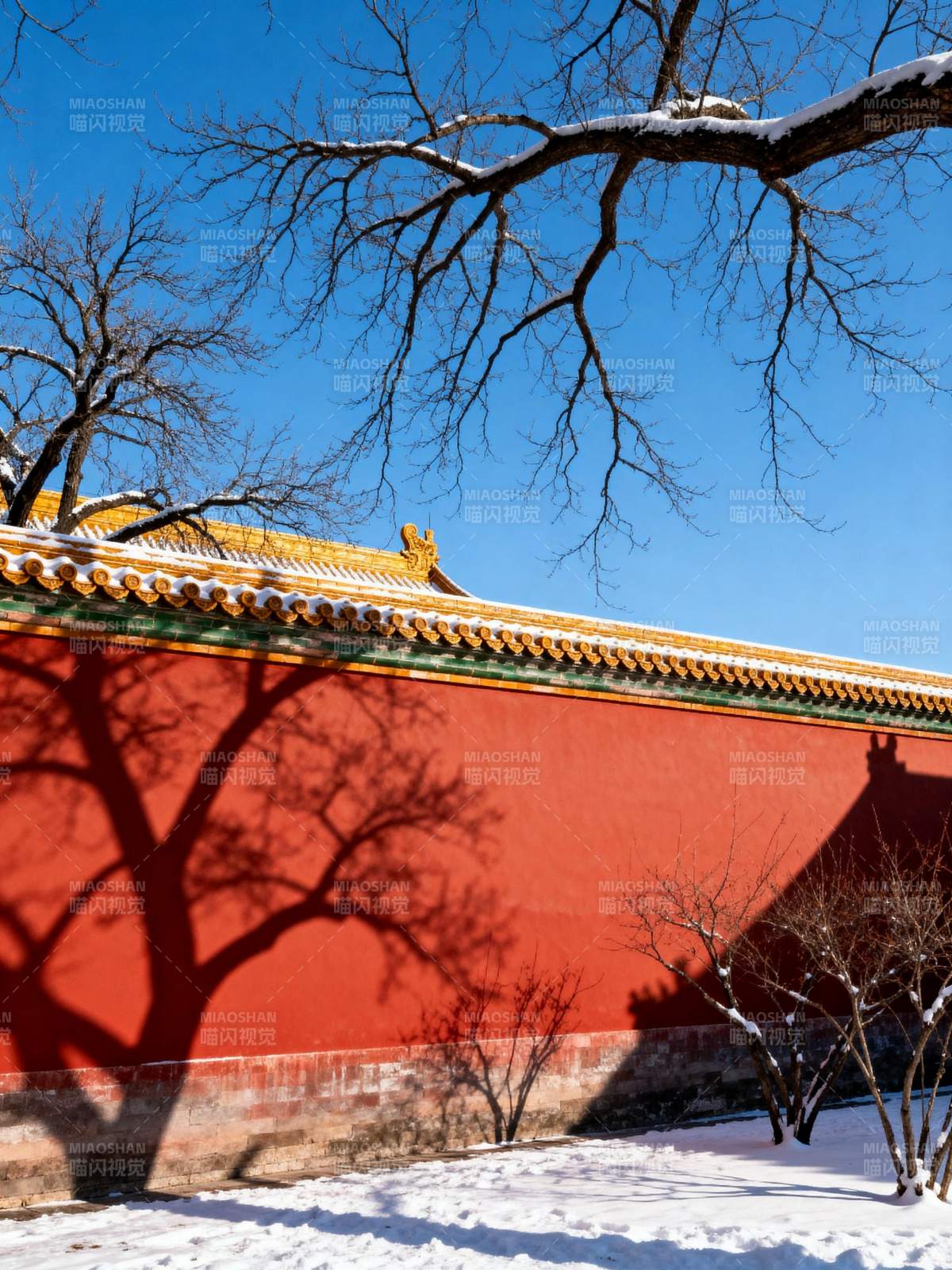 雪映红墙影图片