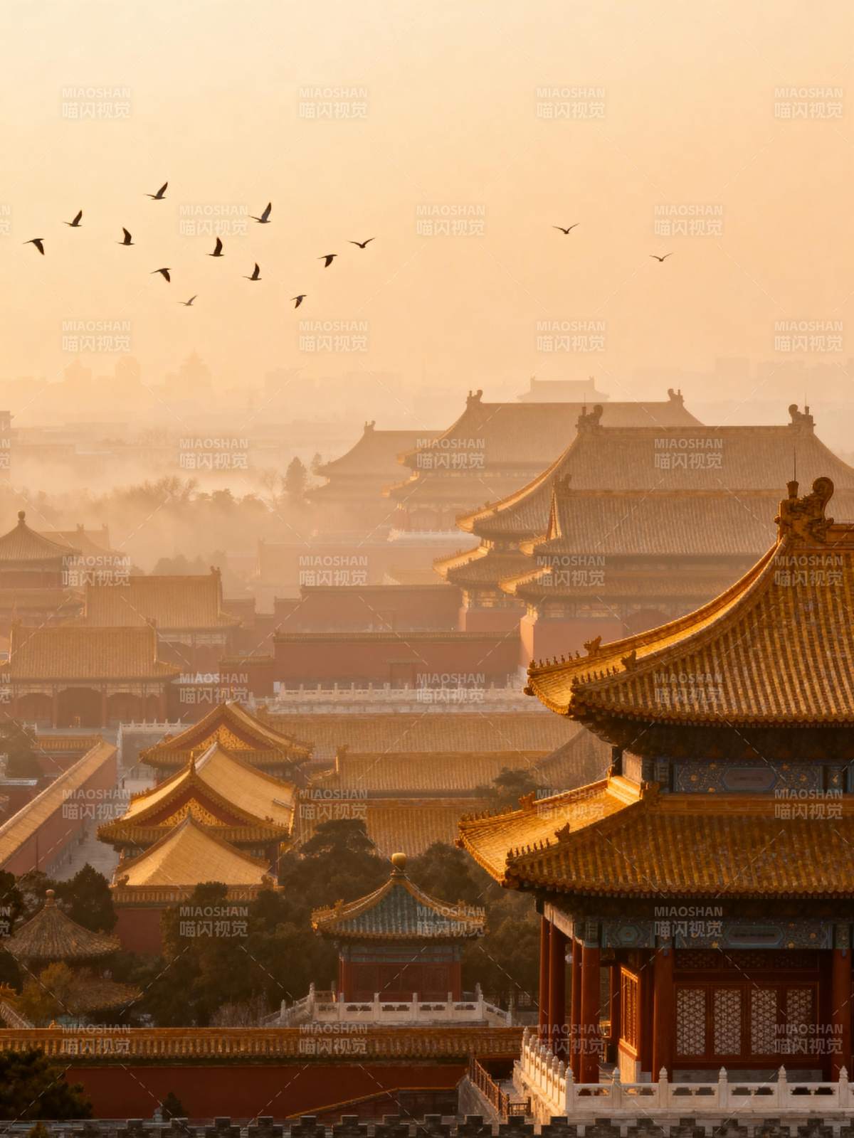 故宫晨曦飞鸟图片