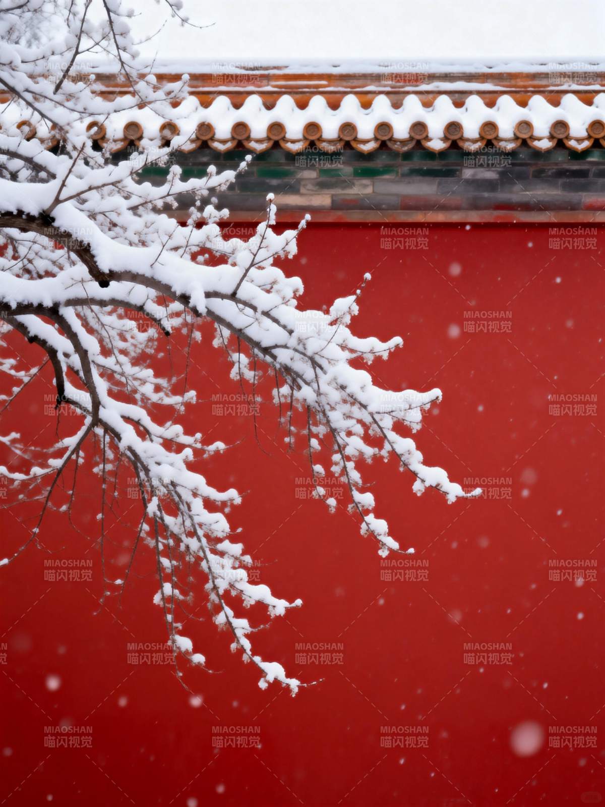 雪落红墙枝头图片